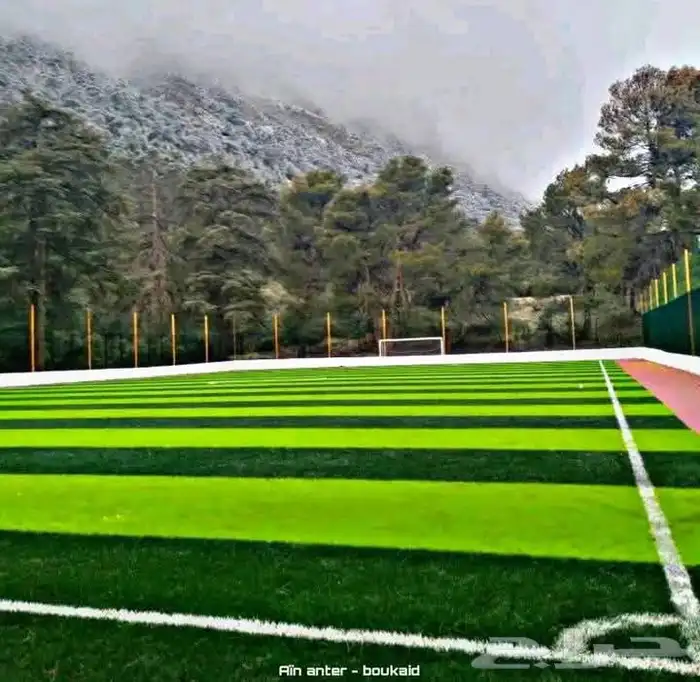 عشب ملاعب عشب حدايق انجيله صناعيه اعشاب جداريه بديل خشب 1