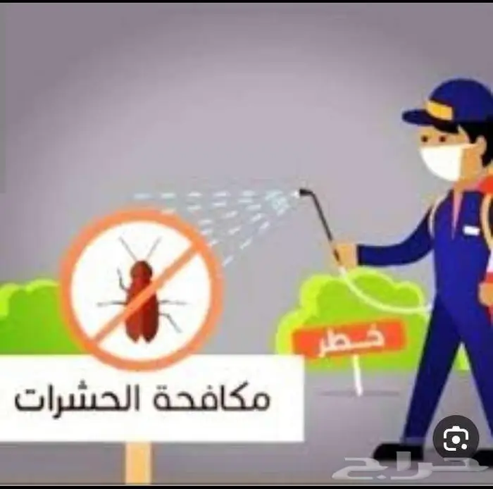 نظافة منازل وأثاث 5