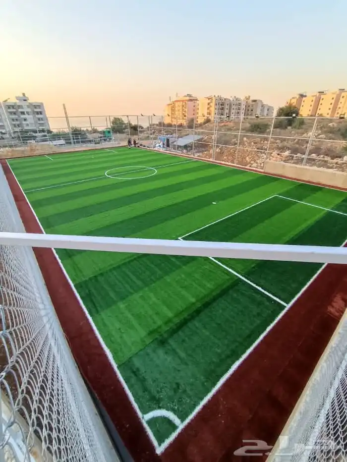 عشب ملاعب عشب حدايق انجيله صناعيه اعشاب جداريه بديل خشب 0