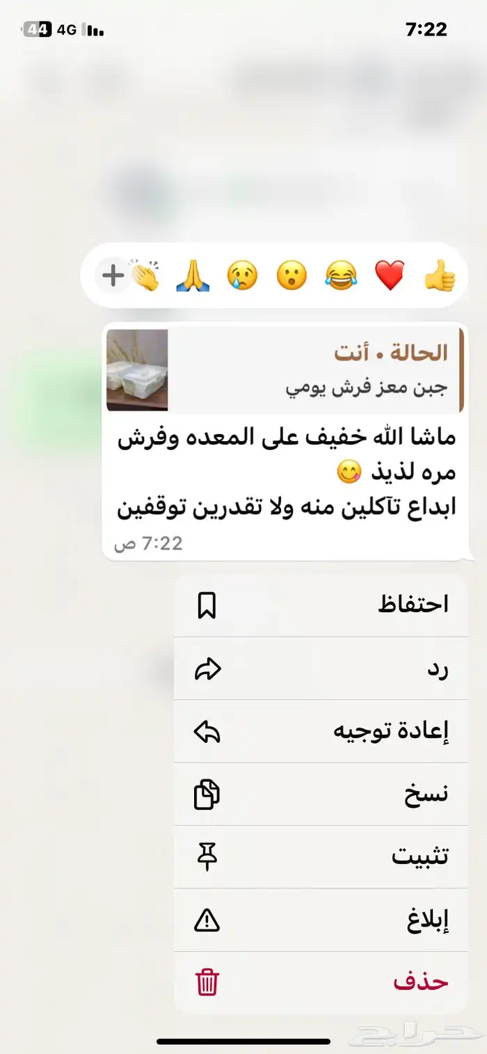 جبن معز 2