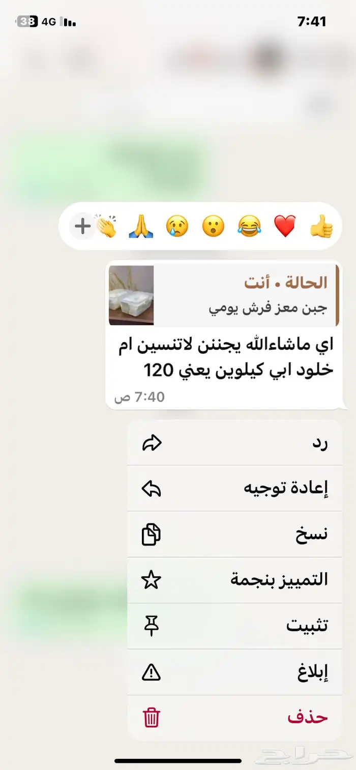 جبن معز 1