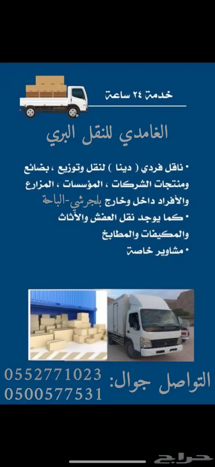 دينا بلجرشي 0
