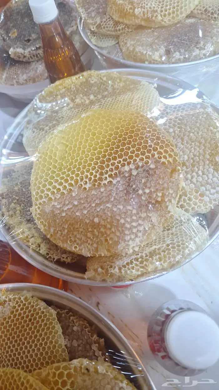 عسل سدر وسمر ومراعي طبيعي بالشرط 7