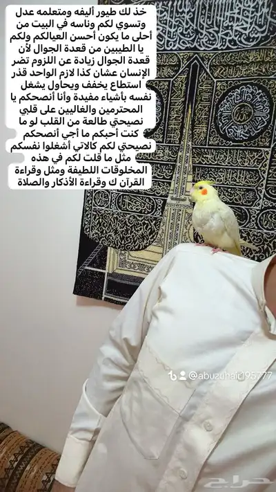 كروان اليف وهدد نشبه قريب الفطم اللي يبغى الزين يلحق عليه 0