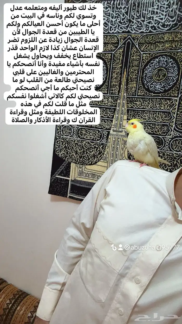 كروان اليف وهدد نشبه قريب الفطم اللي يبغى الزين يلحق عليه 0
