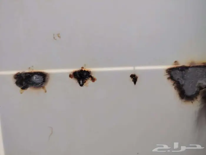 الواح طاقه شمسيه مختلفت المقاسات 0