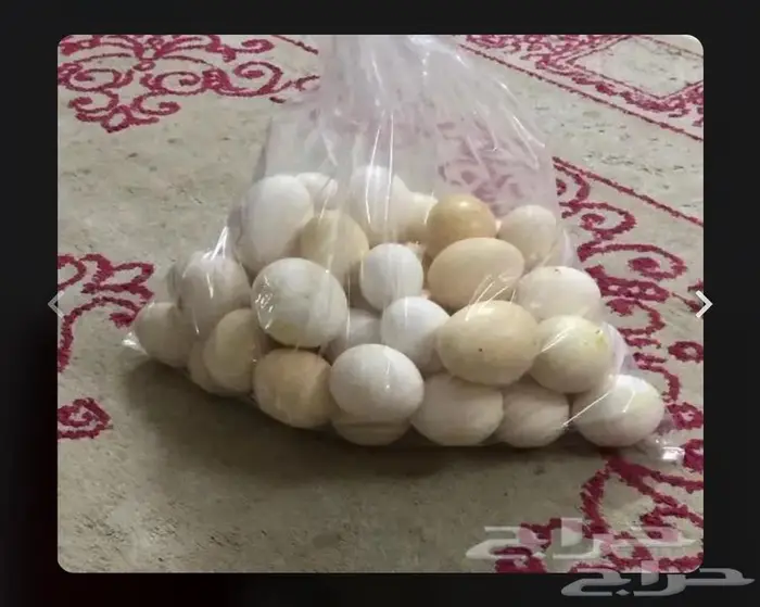 مزرعة الخير بمكة المكرمة . 3