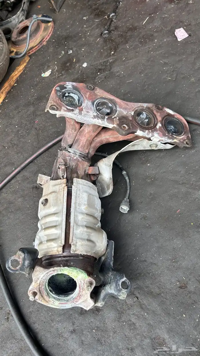 قزوز كامري برصاصه وتوني منظفه 1