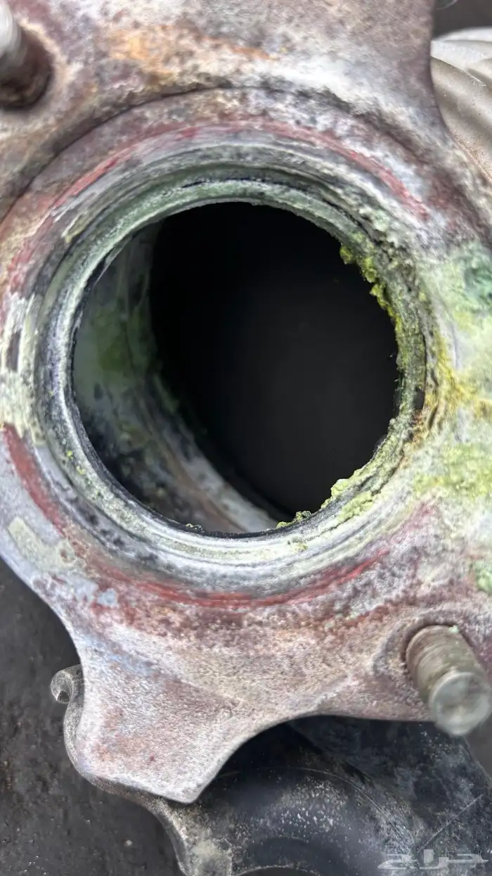 قزوز كامري برصاصه وتوني منظفه 0