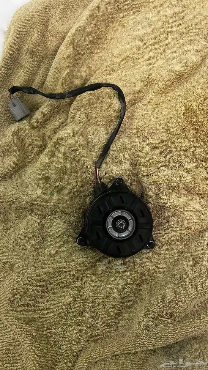 دينمو كورولا 2018 وكالة 0