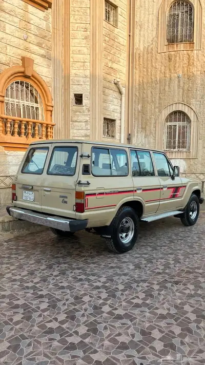 تم البيع 11