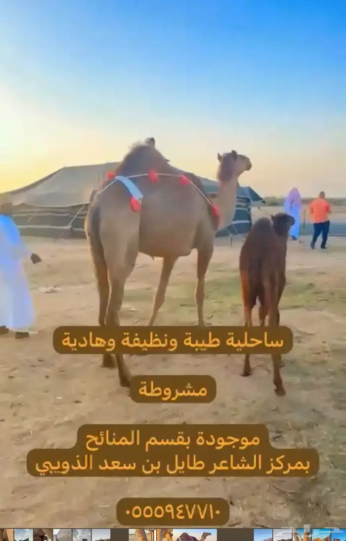 خلفه ساحيله 2