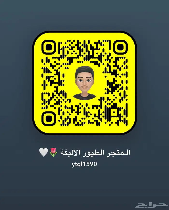 سلام عليكم عرض لكم تدريب طيور 2