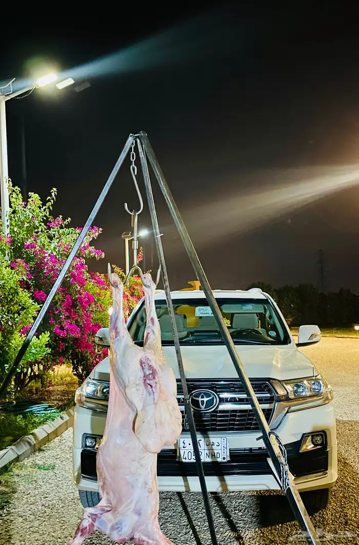معلم مشويات في الرياض وماحولها 0