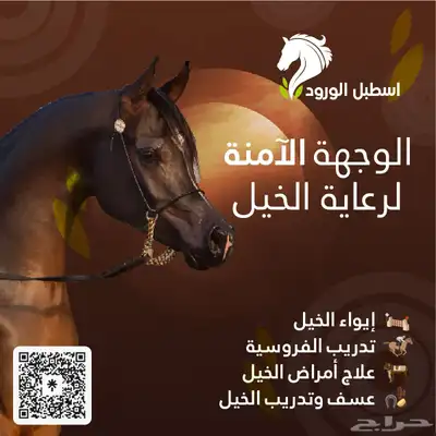 تدريب الفروسيه الأول بجده 4