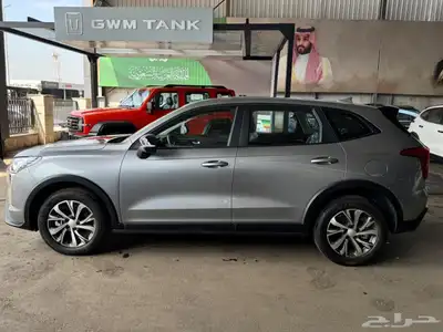 عرض وسعر مميز علي هافال جوليان ستاندرد موديل 2025 3