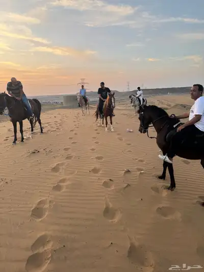 تدريب الفروسيه الأول بجده 2