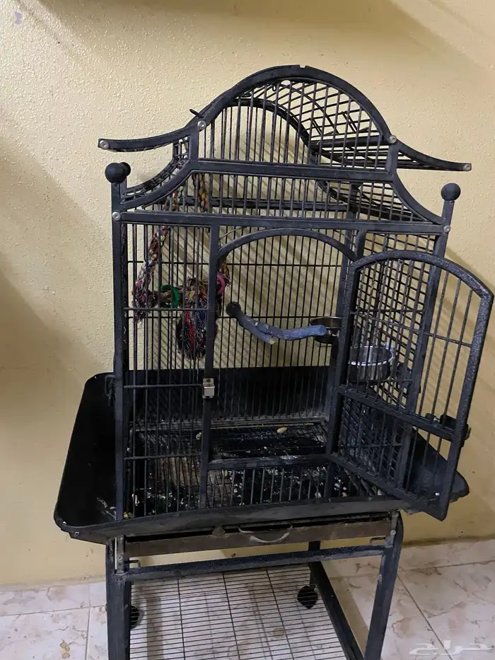 قفص ببغاوات كبير 3