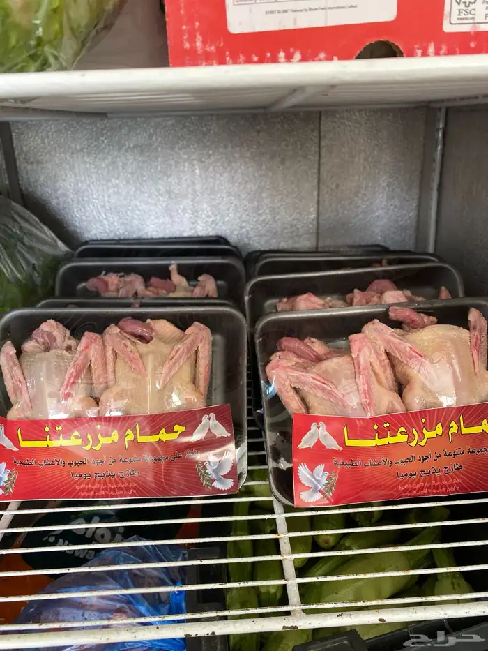 الحمام الفرنسي اللاحم 0