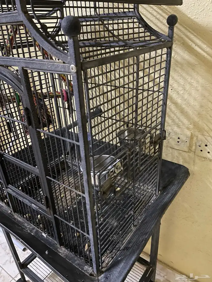 قفص ببغاوات كبير 1