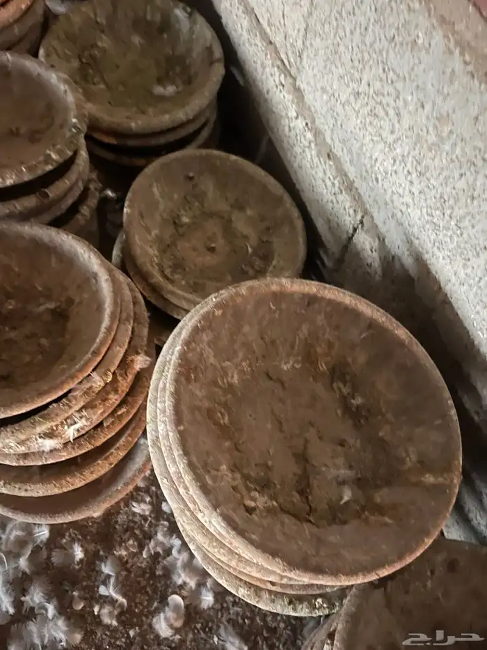 سقايات وصحون بيضات حمام فخار وبلاستك 1