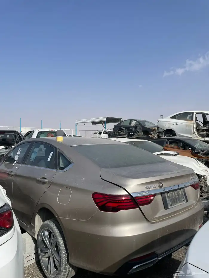 جيلي بينراي 2022 قطع غيار 0