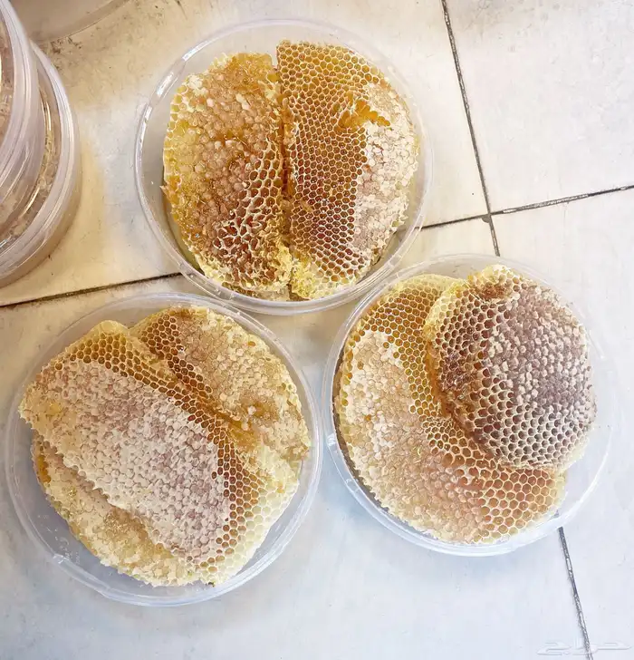 عسل سدره وسمره وطلحه وغذاء ملكات وحبوب اللقاح اصلي ومضمون 0