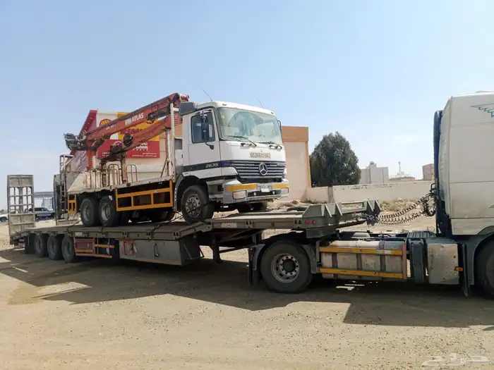 لوبد متواجد فالقصيم 0
