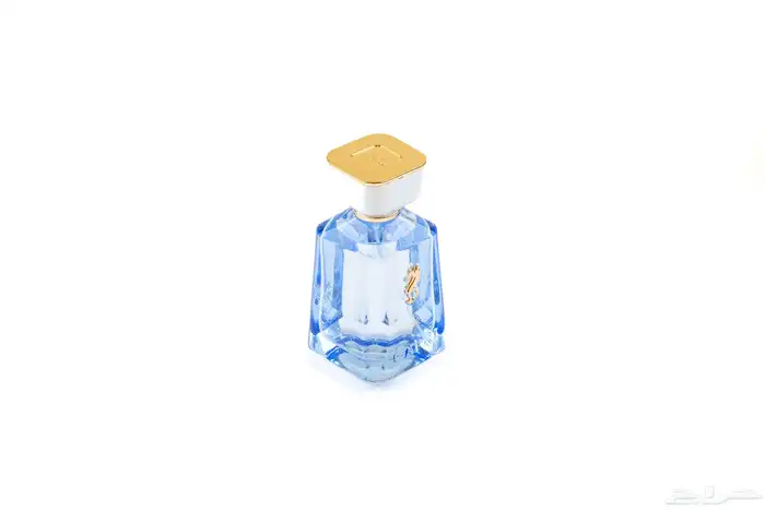 مونتاج وتعديل احترافي للصور 4