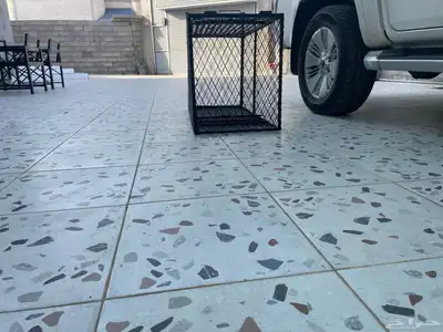 مصيدة كلاب 2
