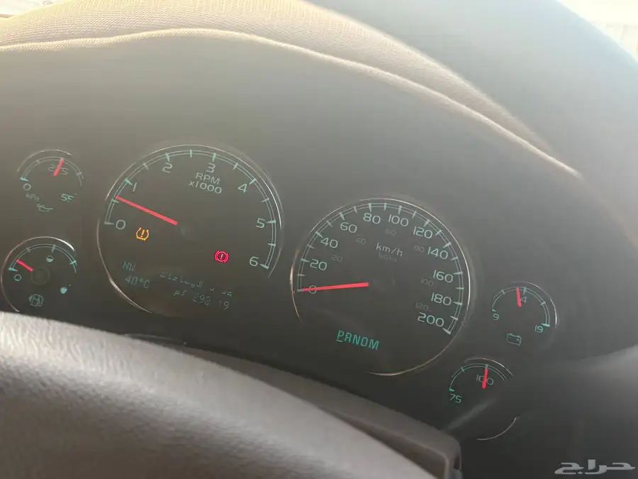 شقراء 13