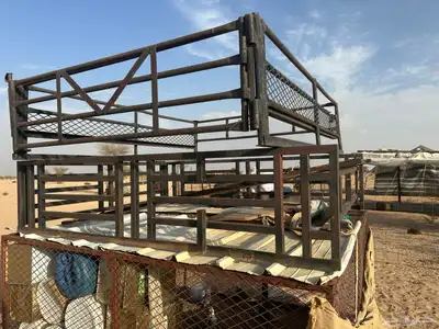 شد حق ددسن غماره من 97 وتحت 1