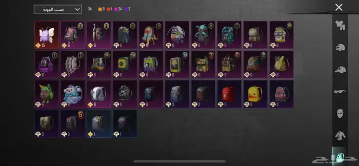 حساب ببجي 19