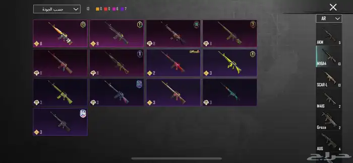 حساب ببجي 24