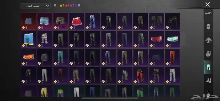 حساب ببجي 20