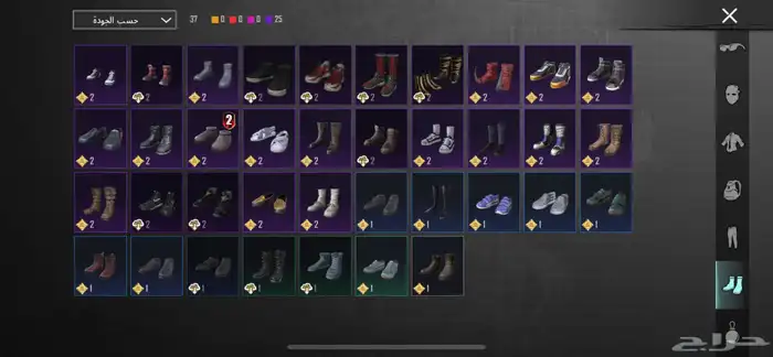 حساب ببجي 21