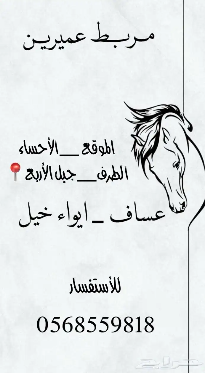 خيل شعبي 0