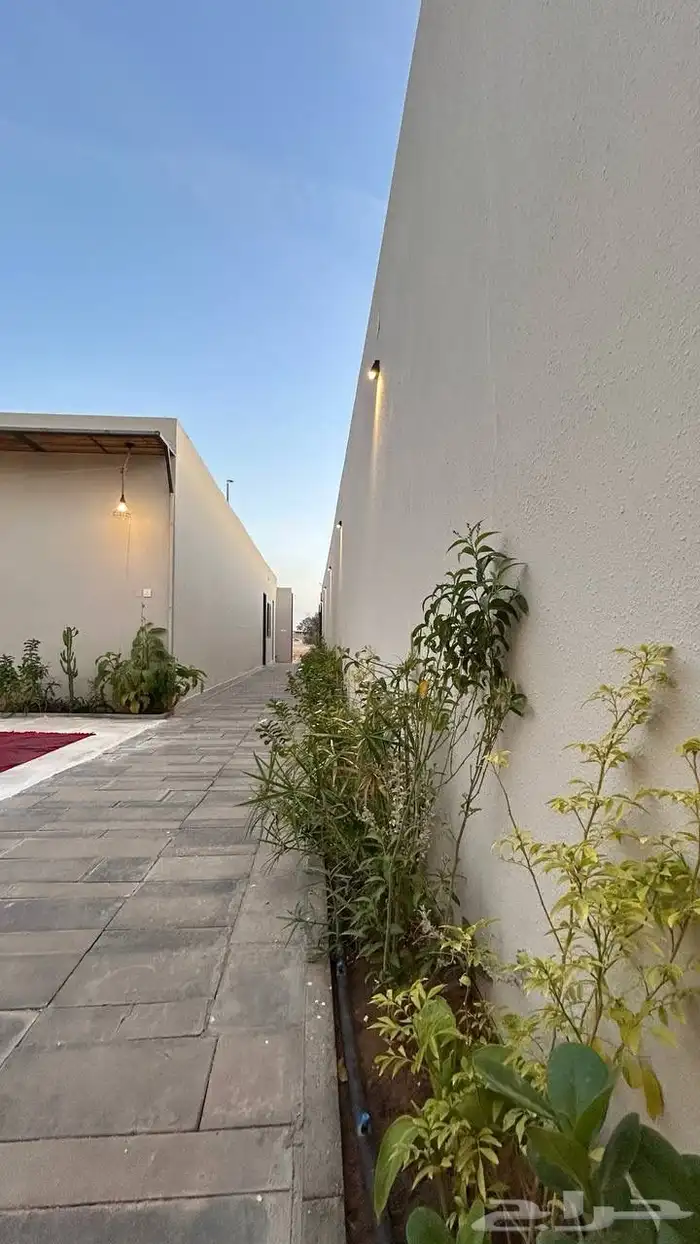 للبيع استراحه واسعه بحي الربوه موقع مرتفع وممتازه للاستثمار 3