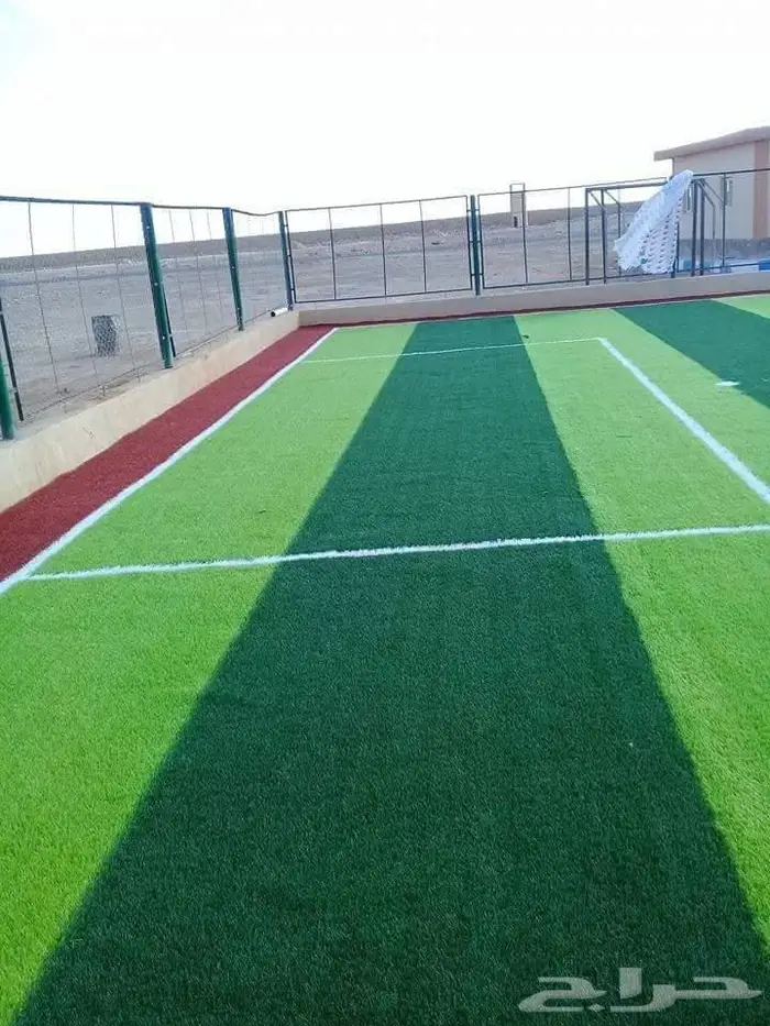 ثيل طبيعي ياباني انتورو فرنسي c2000 ثيل الظل عشب ثيل ملاعب 13