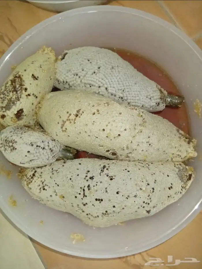 عسل سمر جبلي حر 3