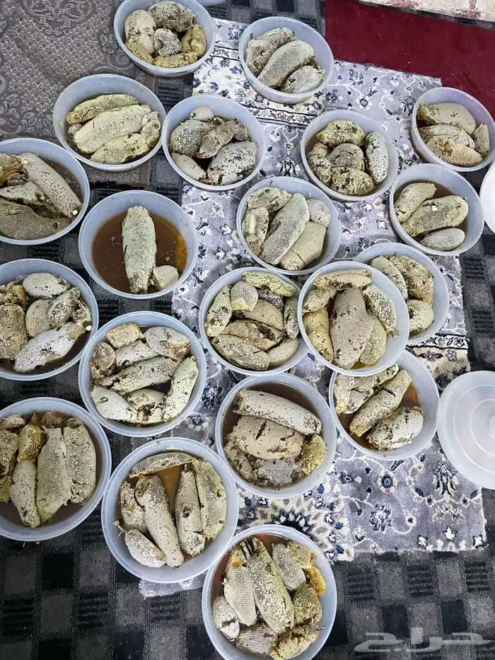 عسل سمر جبلي حر 1