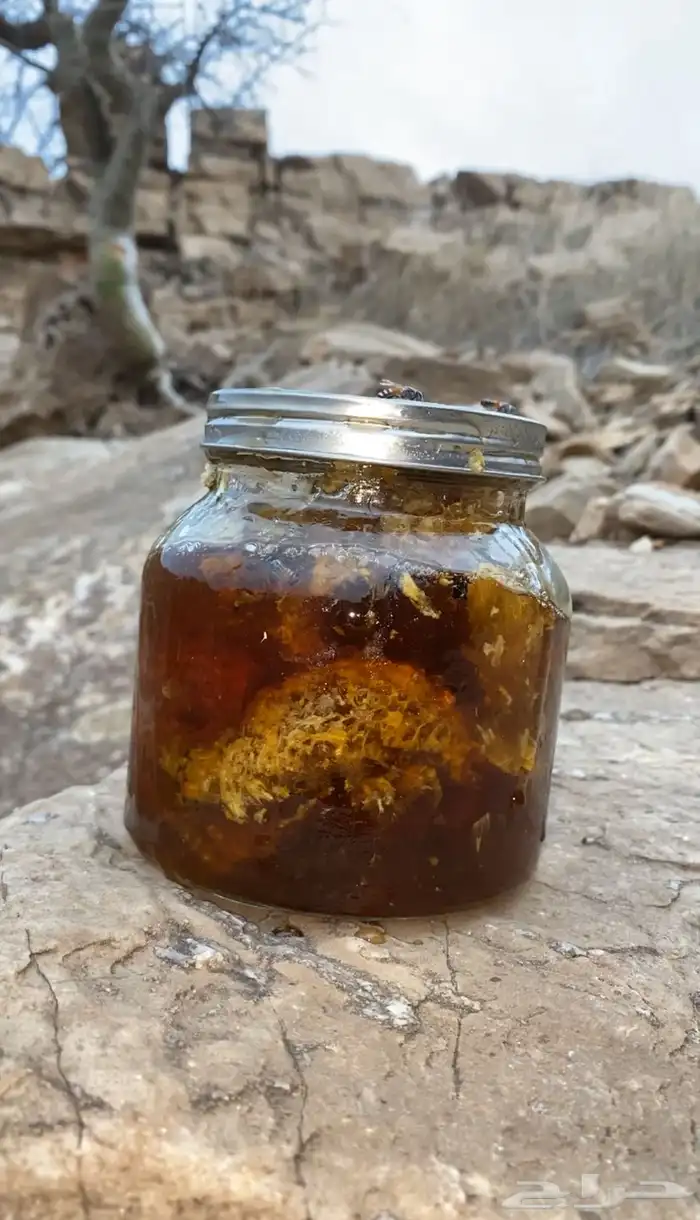 عسل سمر جبلي حر 13