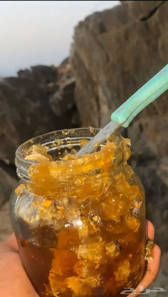 عسل سمر جبلي حر 12