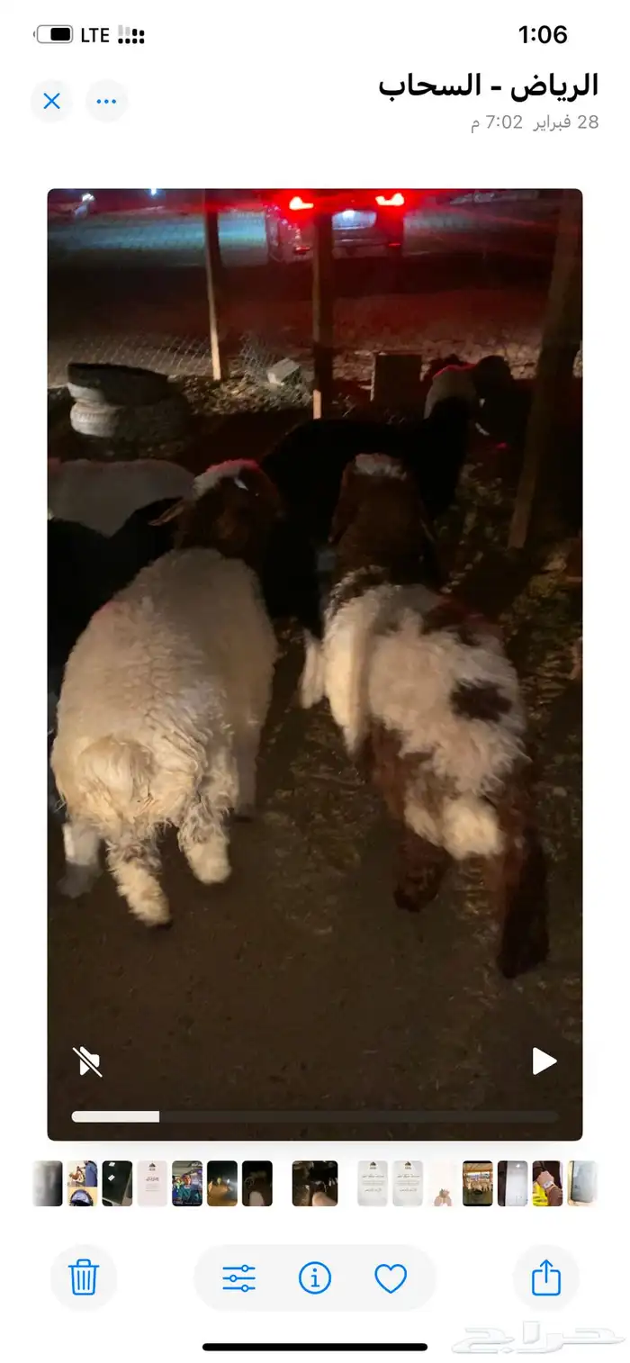 ذبايح ابوريان 1