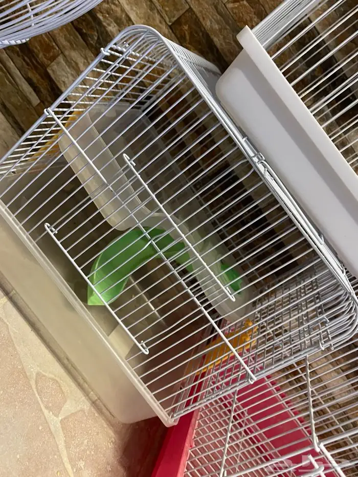 أقفاص طيور للبيع 2