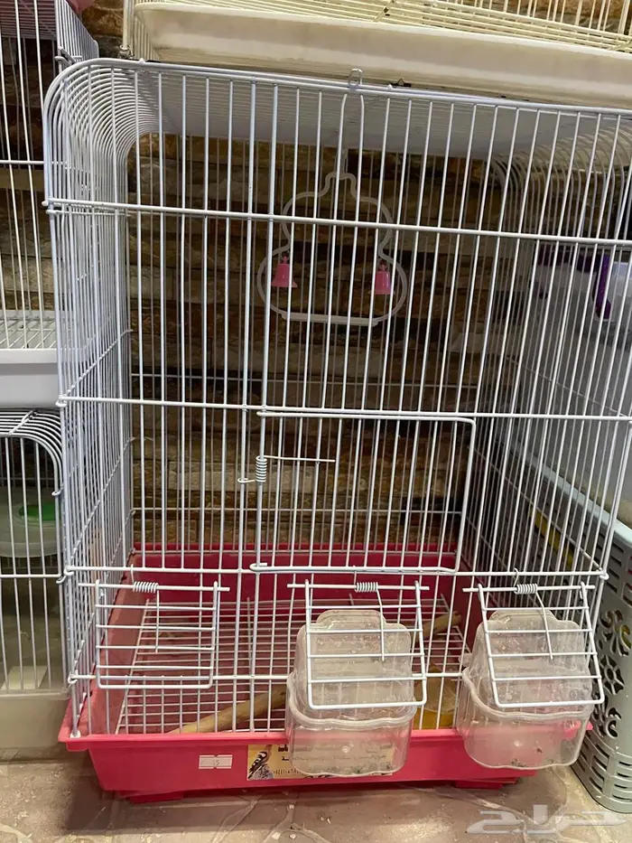 أقفاص طيور للبيع 3