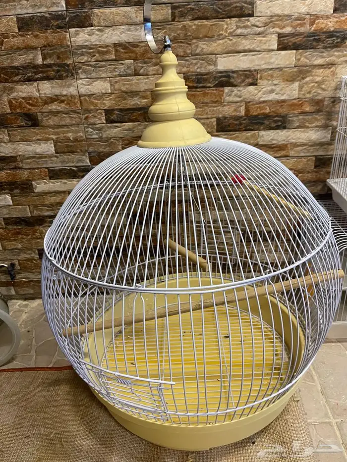 أقفاص طيور للبيع 0
