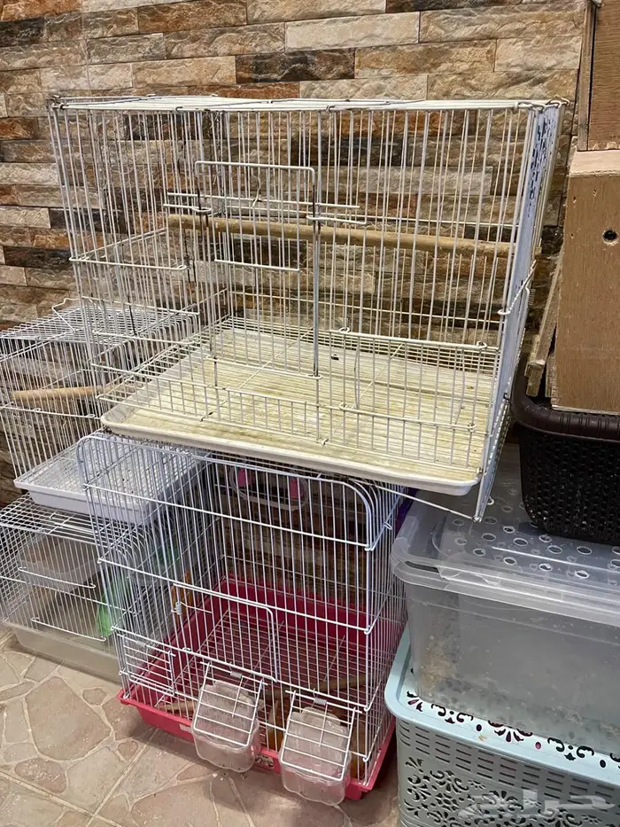 أقفاص طيور للبيع 5