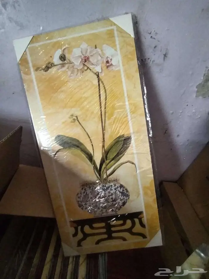 لوحات جدارية مناظر للبيع ب3 ريال جملة 0