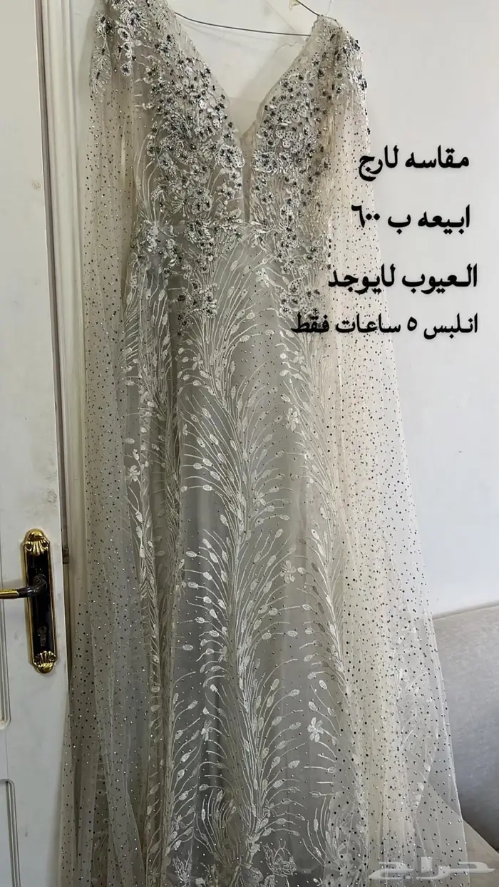 القادسيه 1 0